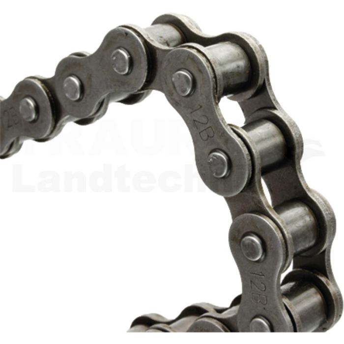 Rollenkette Rollenkette