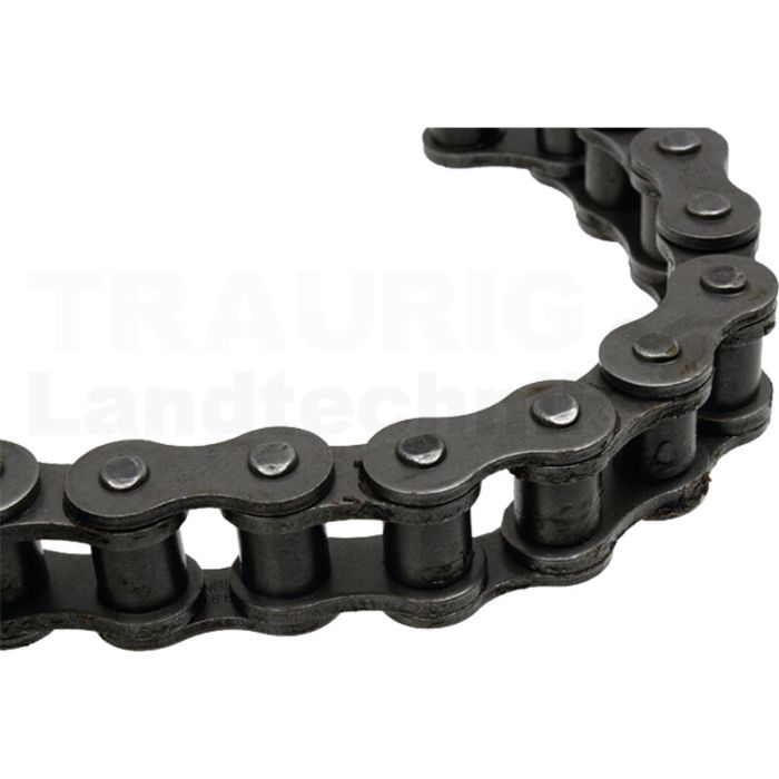 Rollenkette Rollenkette
