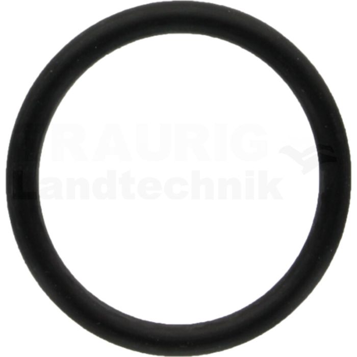 O-Ring O-Ring