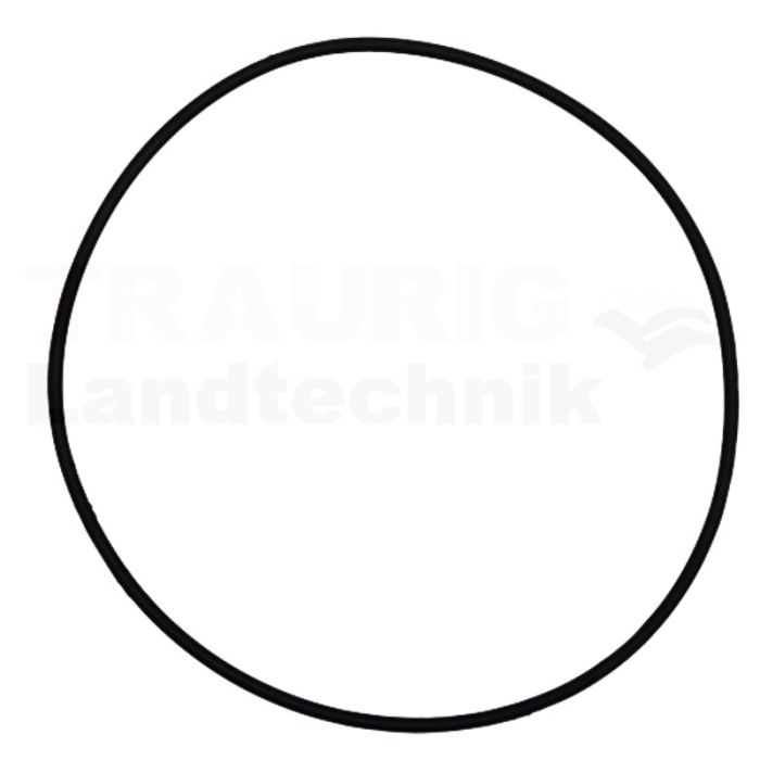 O-Ring