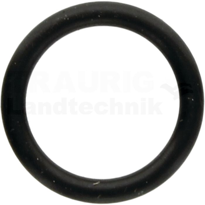 O-Ring