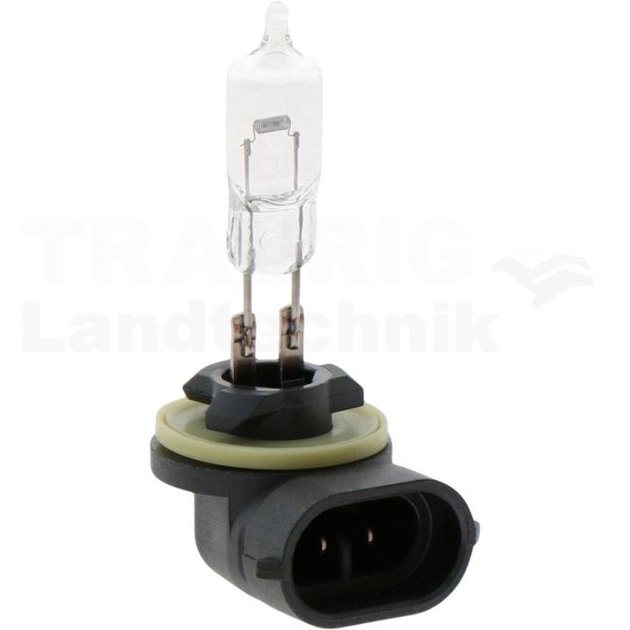 Glühlampe H50/2