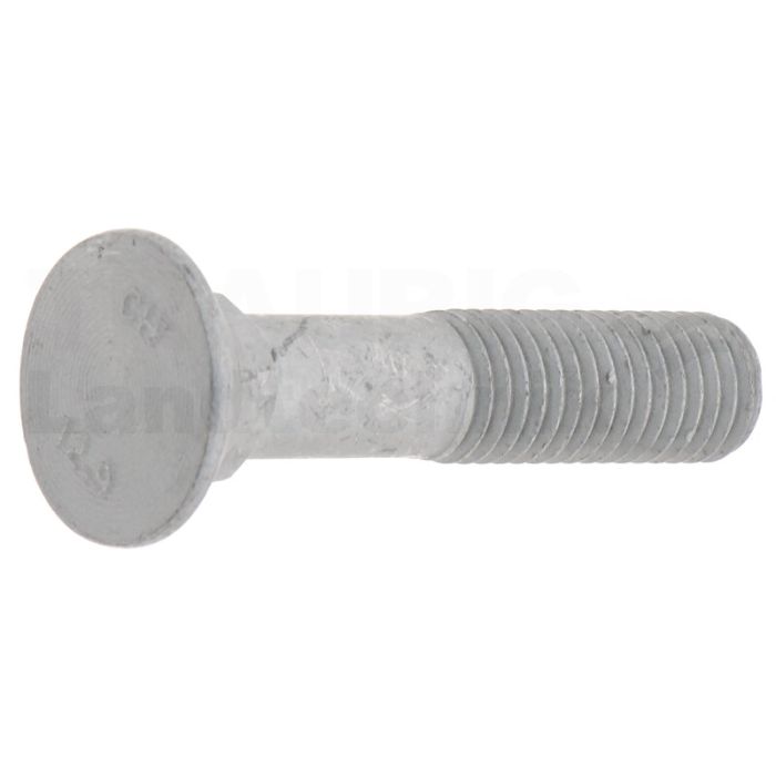 Bolzen M12x60