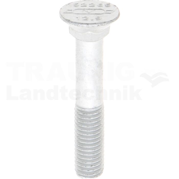 Schraube M12x70 Schraube M12x70