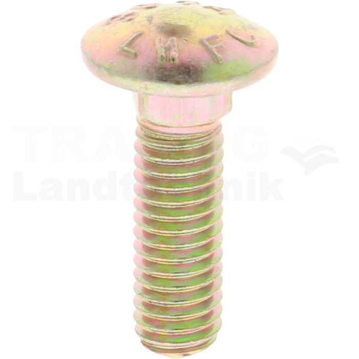 Schlossschraube 3/8" x 1 1/4" Schlossschraube 3/8" x 1 1/4"