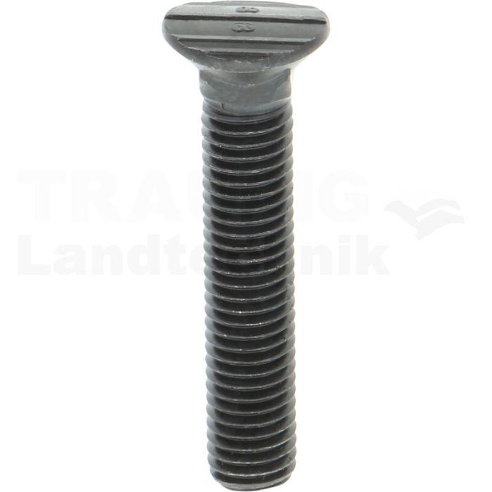 Bolzen M10x55 Bolzen M10x55