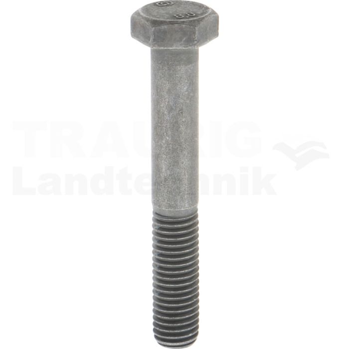 Schraube M12x80