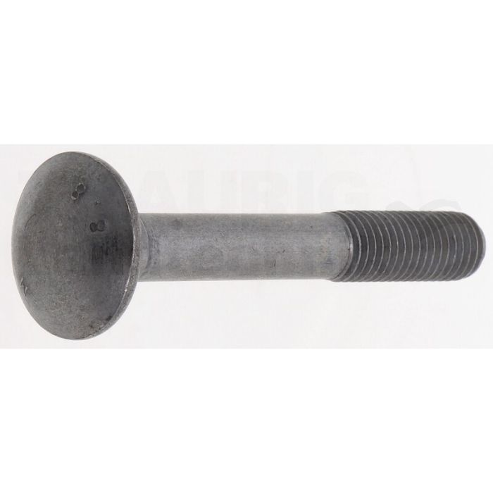 Bolzen M14x100 Bolzen M14x100