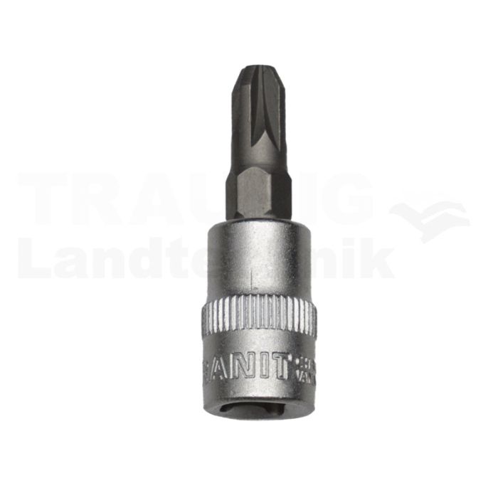 1/4" Bit-Stecknuss, PZ3