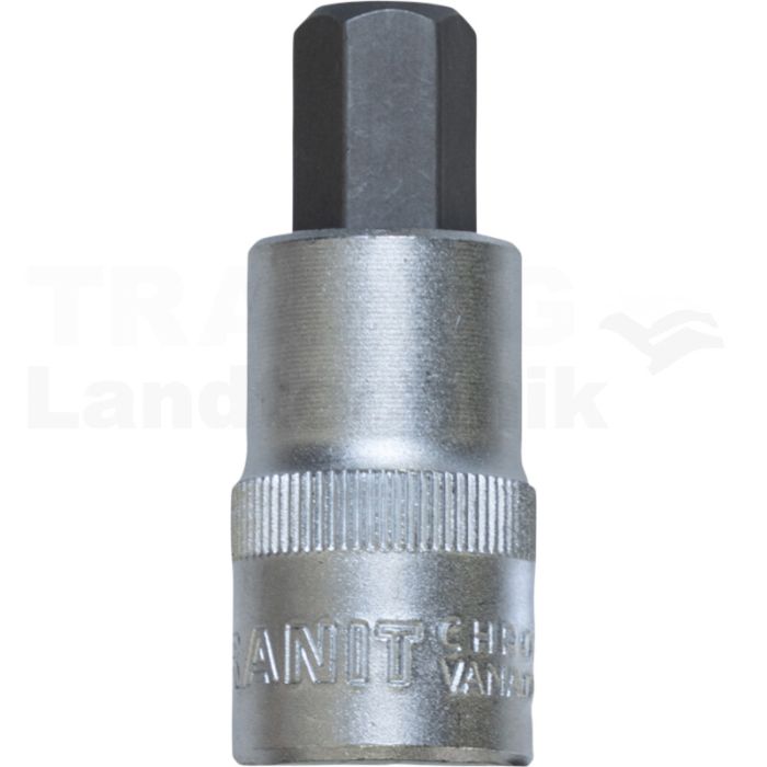 1/2" Bit-Stecknuss Innen6kant kurz 12mm