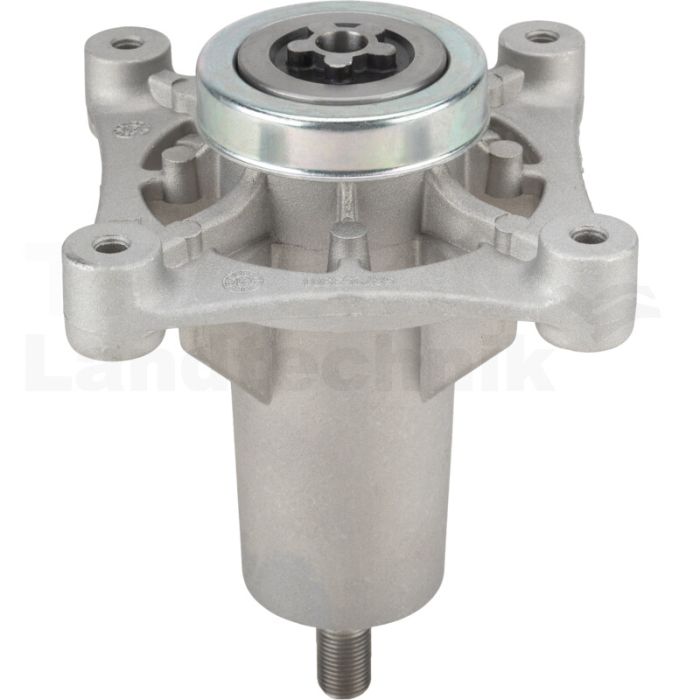 Messerspindel