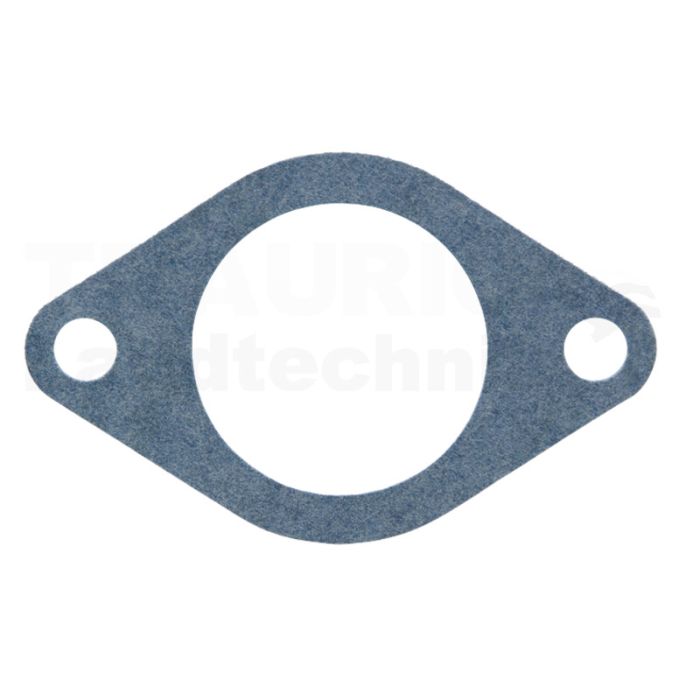 Dichtung Thermostat