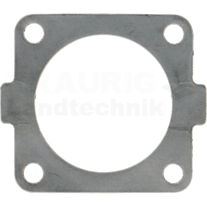 Dichtung Thermostat