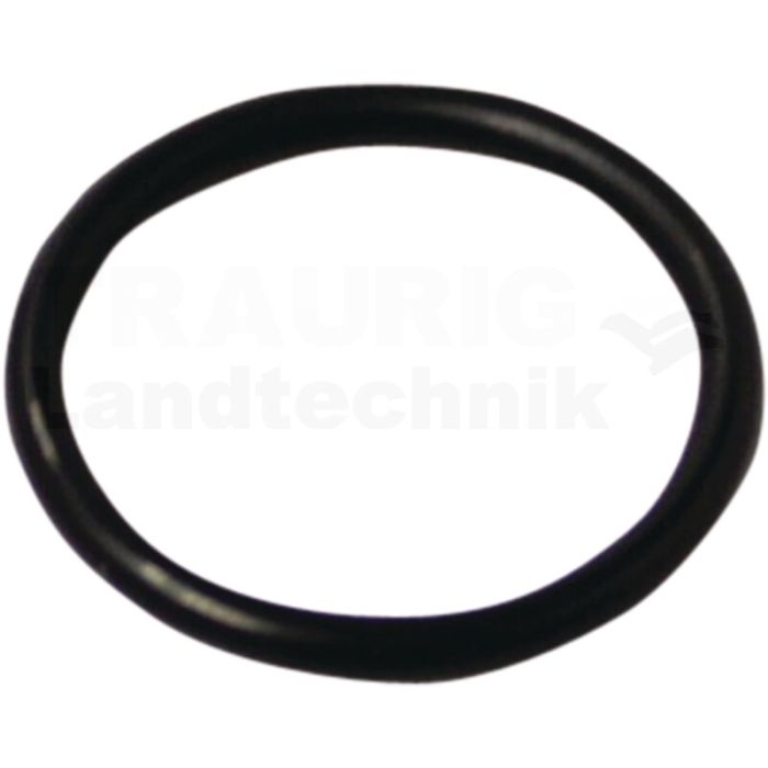 O-Ring