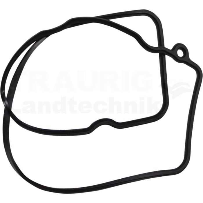 Ventildeckeldichtung