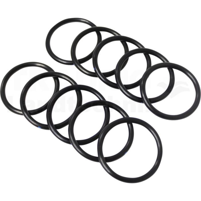 O-Ring