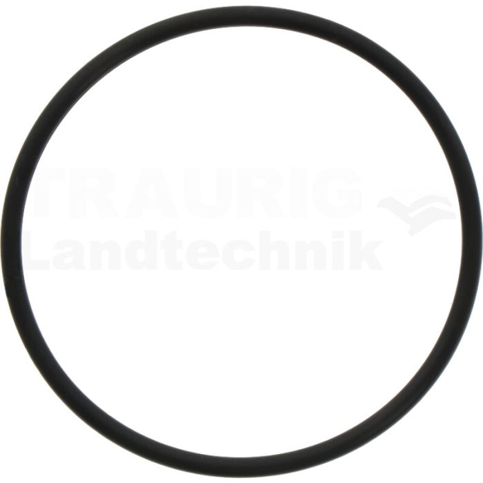 O-RING 1A G-65,0
