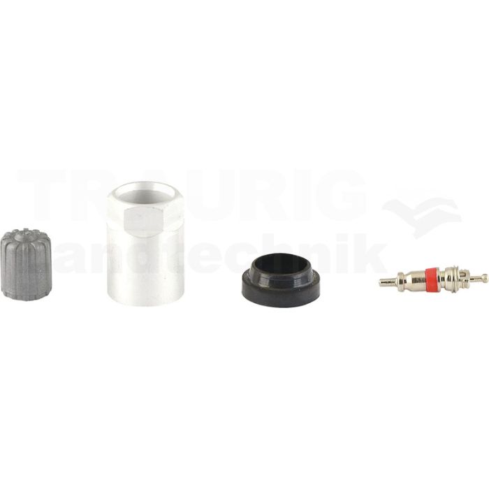 Reifendruckkontrollsystem RDKS / TPMS 01