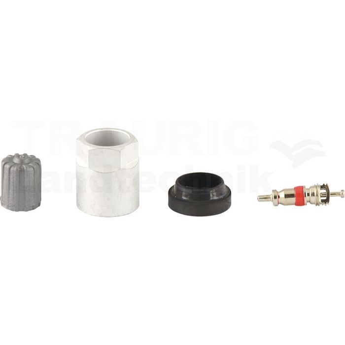 Reifendruckkontrollsystem RDKS / TPMS 02