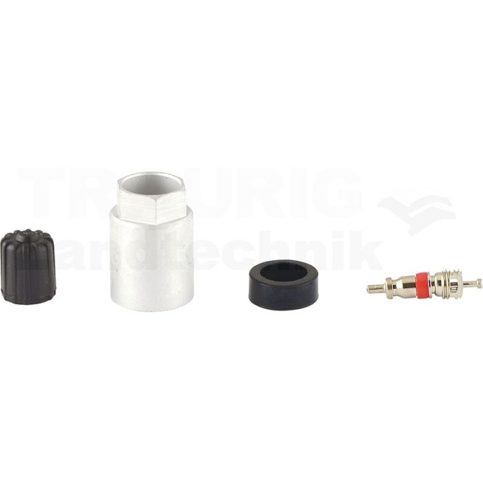 Reifendruckkontrollsystem RDKS / TPMS 04
