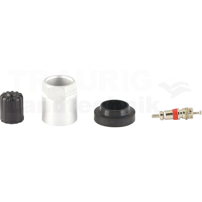 Reifendruckkontrollsystem RDKS / TPMS 05