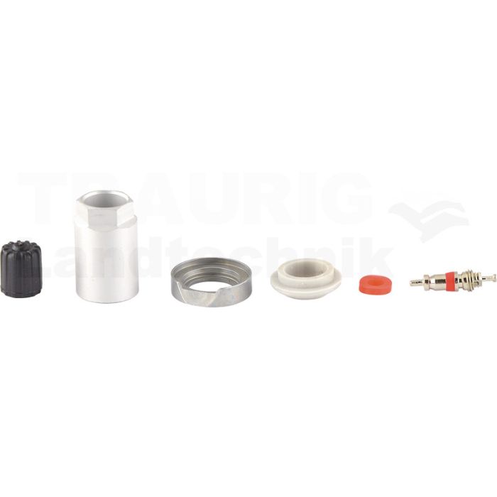 Reifendruckkontrollsystem RDKS / TPMS 09