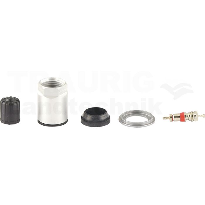 Reifendruckkontrollsystem RDKS / TPMS 10