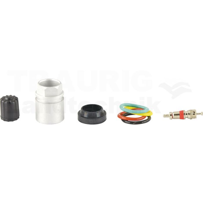 Reifendruckkontrollsystem RDKS / TPMS 11