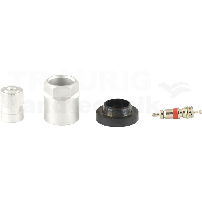 Reifendruckkontrollsystem RDKS / TPMS 12
