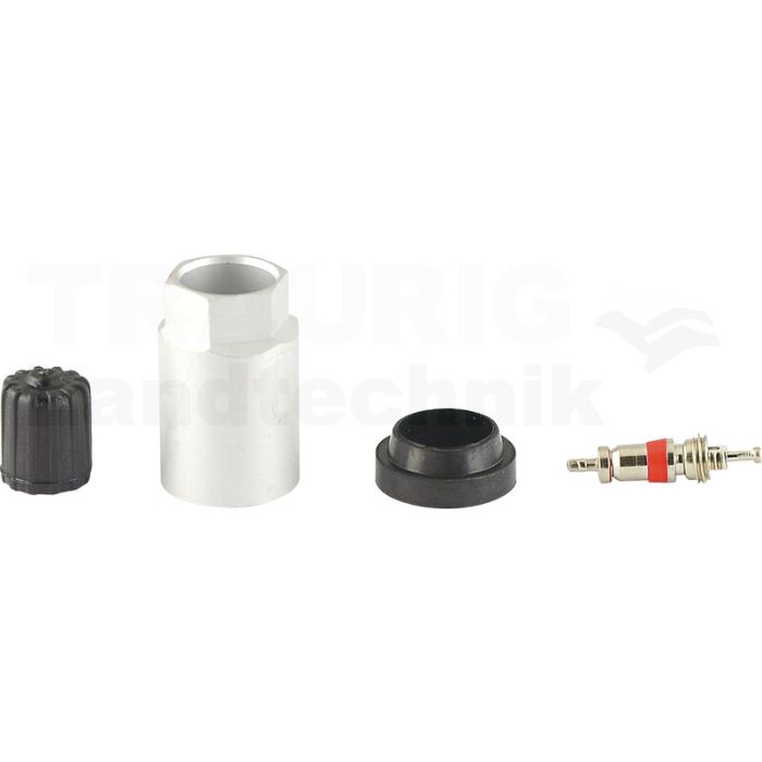 Reifendruckkontrollsystem RDKS / TPMS 15