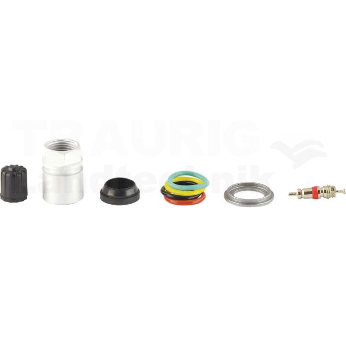 Reifendruckkontrollsystem RDKS / TPMS 17
