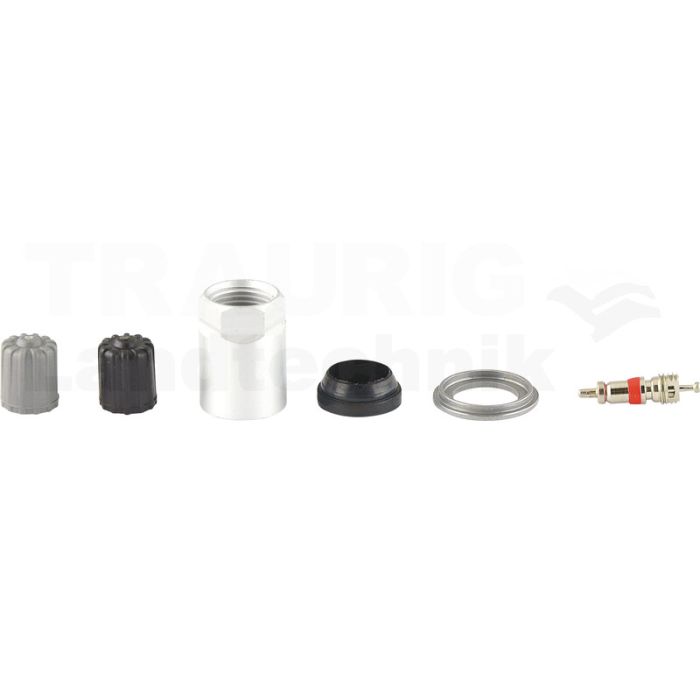 Reifendruckkontrollsystem RDKS / TPMS 19