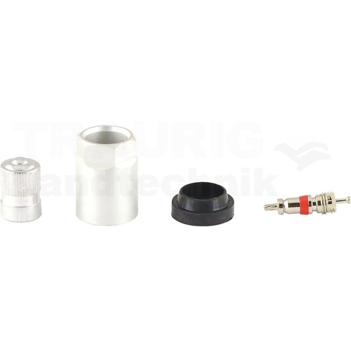 Reifendruckkontrollsystem RDKS / TPMS 20