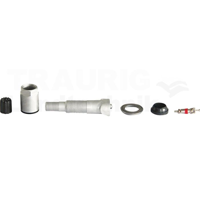 Reifendruckkontrollsystem RDKS / TPMS 21