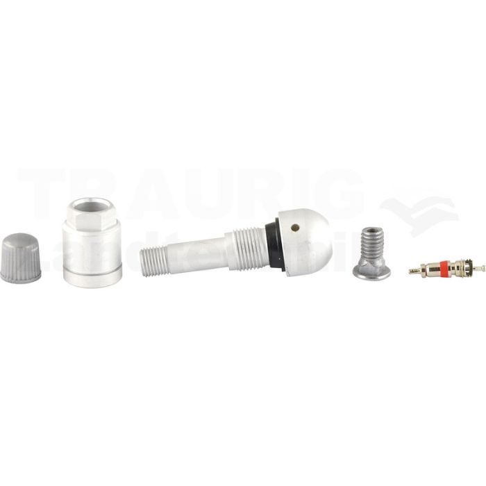 Reifendruckkontrollsystem RDKS / TPMS 23