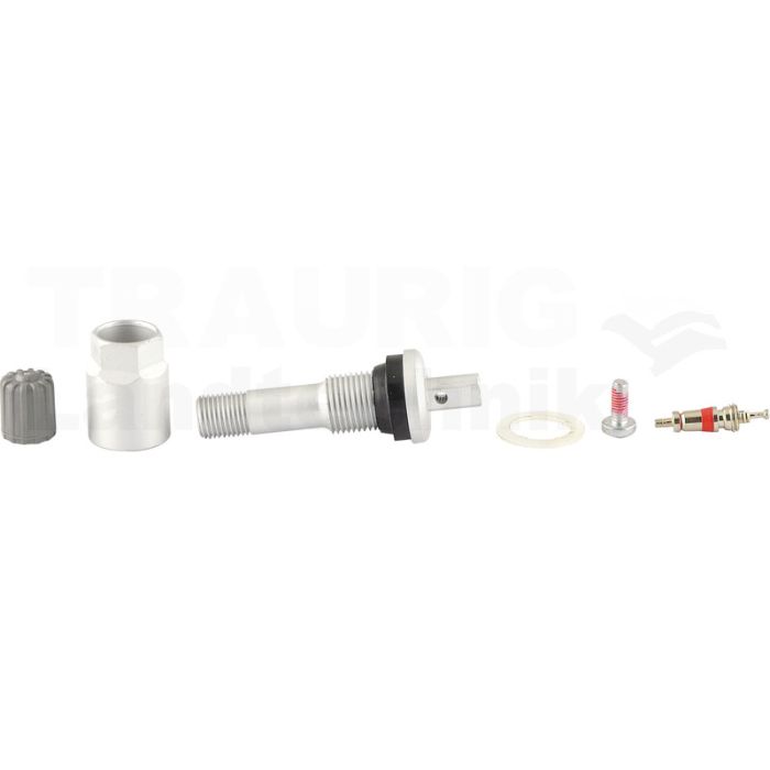 Reifendruckkontrollsystem RDKS / TPMS 25