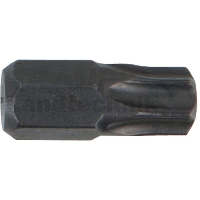 Bit mit 8,0 mm Sechskantantrieb für TX-Schrauben T45
