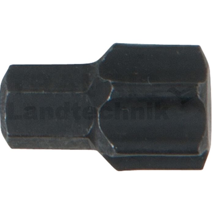 Bit mit 8,0 mm Sechskantantrieb für TX-Schrauben T60