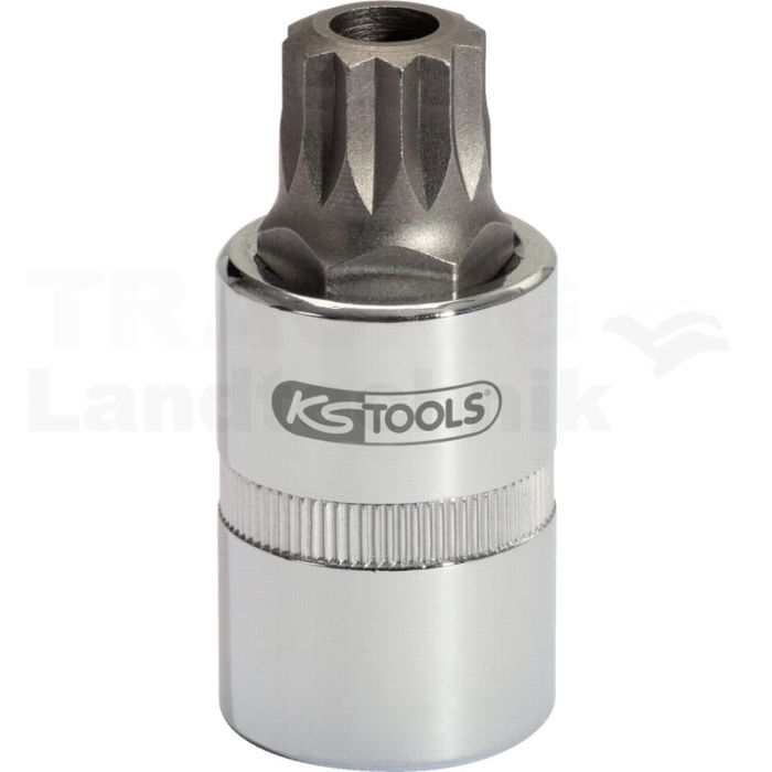 1/2" Oeldienst - Bit Stecknuss XZN, M16