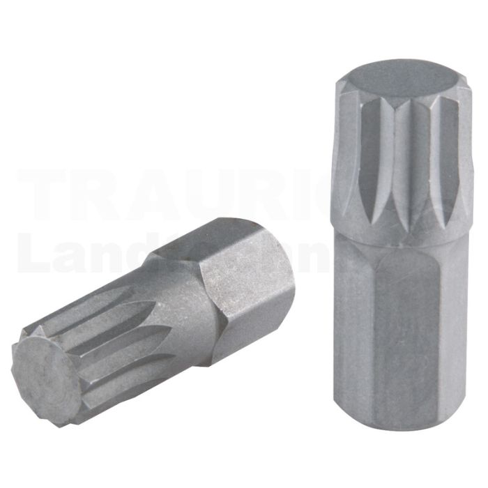 10mm Aufnahme XZN® Bit, M10