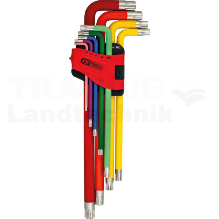 Winkelstiftschlüssel Riebe XL 9-tlg.