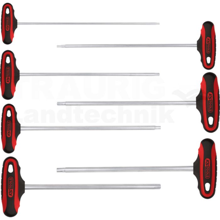 ERGOTORQUEplus® T-Griff RIBE Winkelstiftschlüssel-