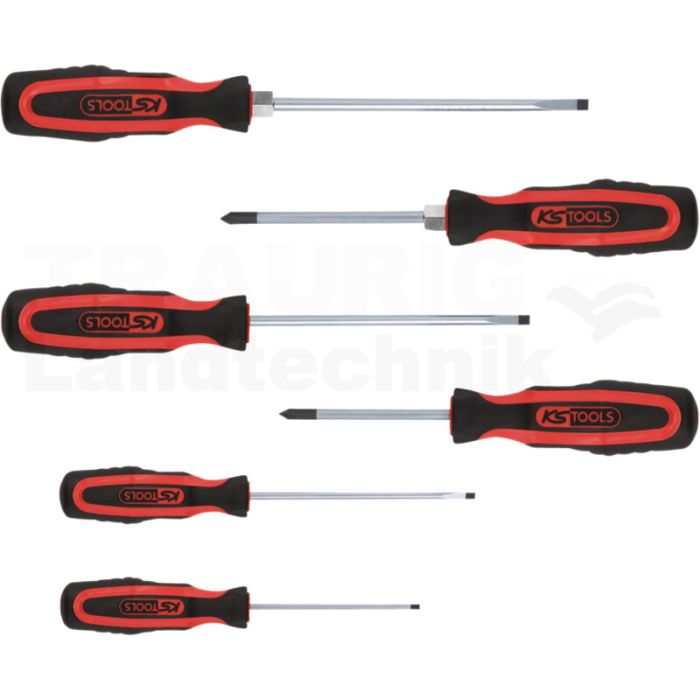 ERGOTORQUE+Schraubendreher Satz