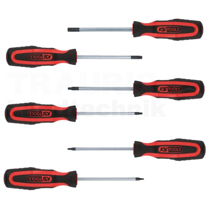 ERGOTORQUE+Schraubendreher Satz, 6tlg TX