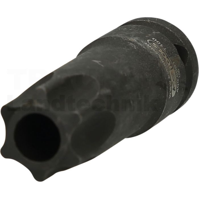 1/2" Spezial-TX-Stern-Bit-Stecknuss für Nockenwell
