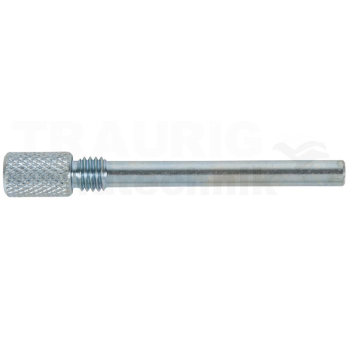 Absteckdorn 6x33 mm, kurz