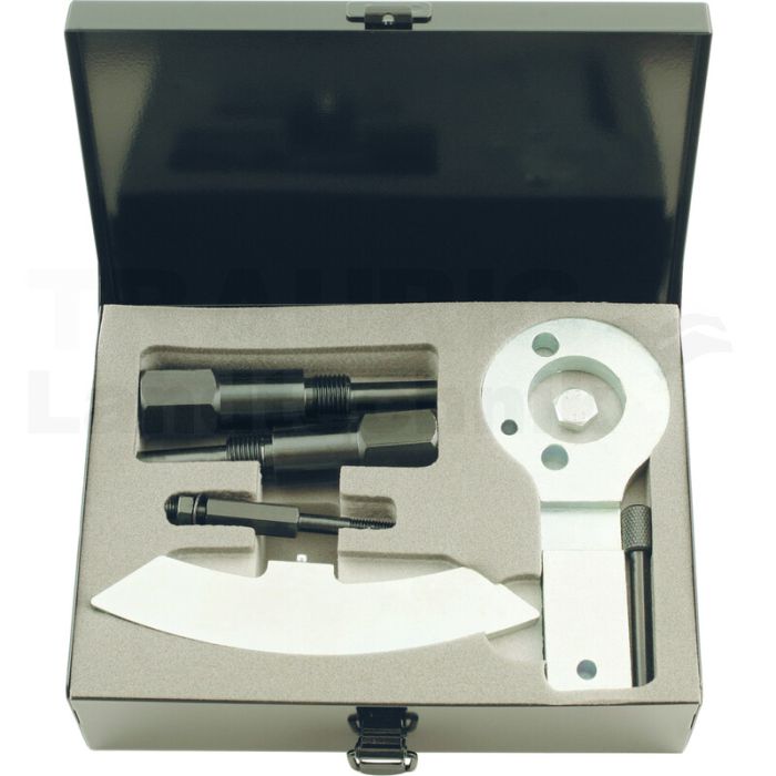 Motorservice-Werkzeug-Satz, Fiat