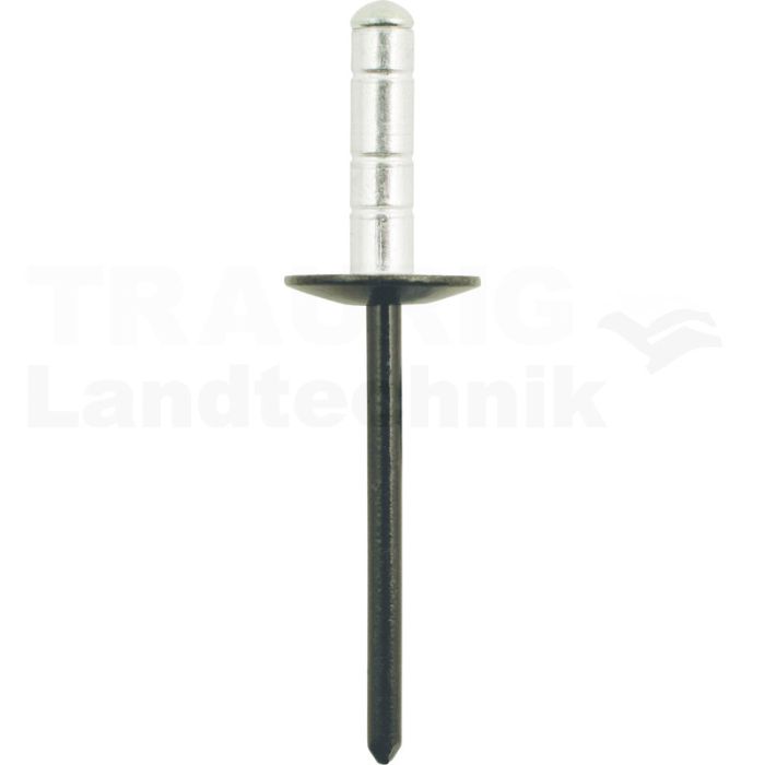 Sternniete 5/32in. Standard-Flansch universal,10er Pack