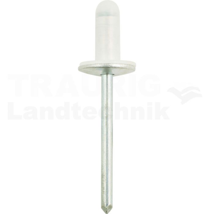 Dichtniete mit 12,8mm Flansch universal,50er Pack