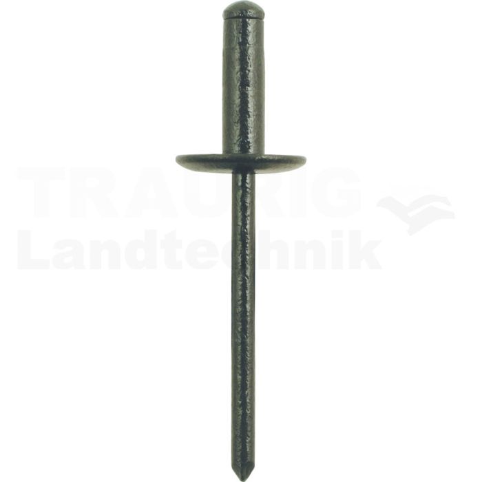 Dichtniete mit 12mm Flansch universal,50er Pack